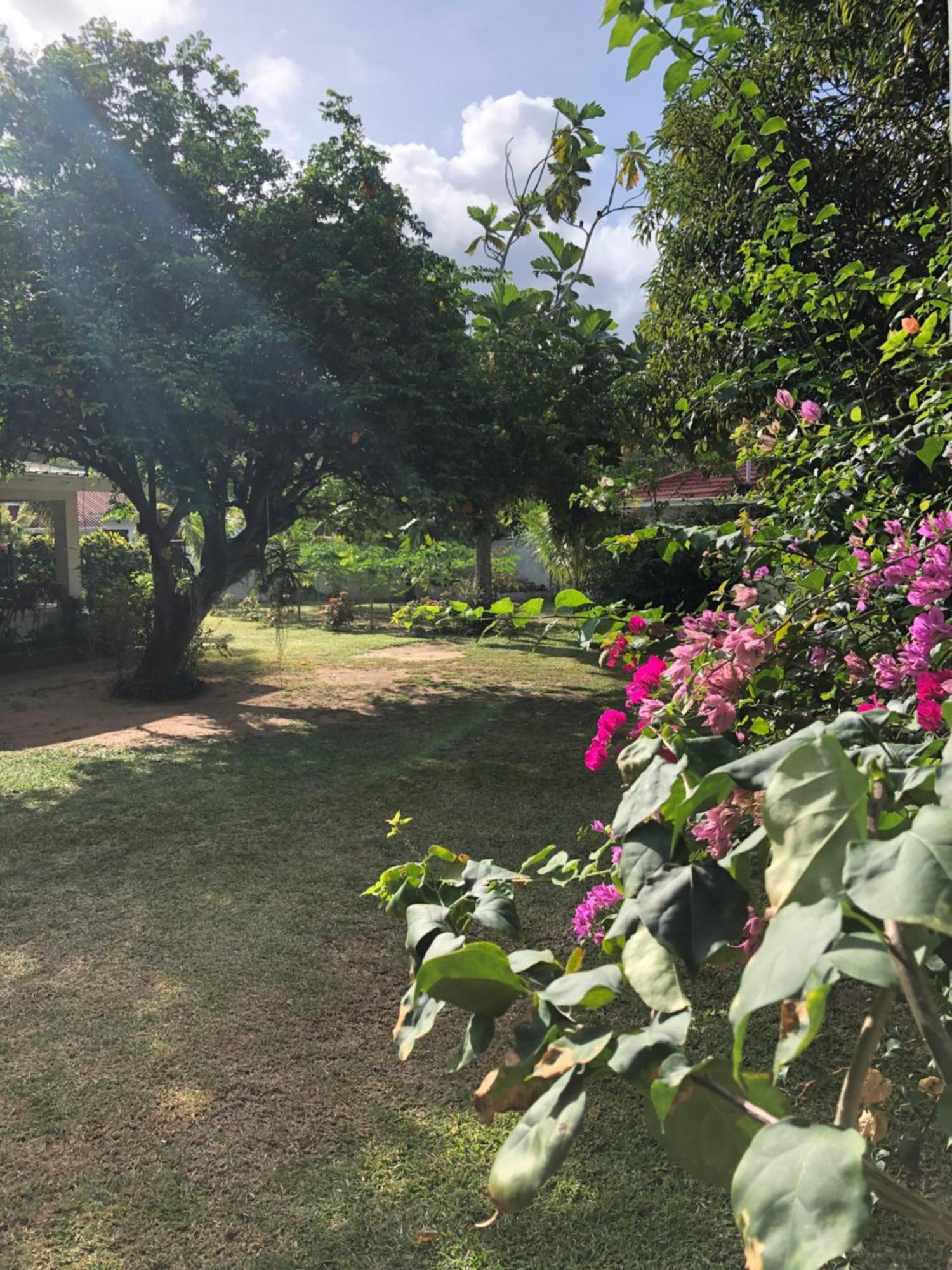 Hcs Bungalows Turtle Bay Rustic Bungalow Au Cap Exterior photo