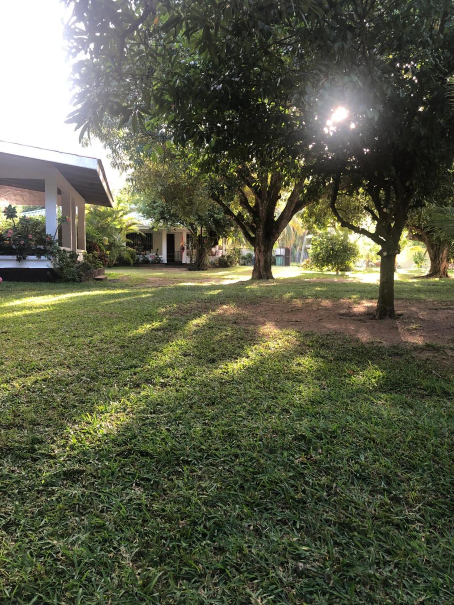 Hcs Bungalows Turtle Bay Rustic Bungalow Au Cap Exterior photo