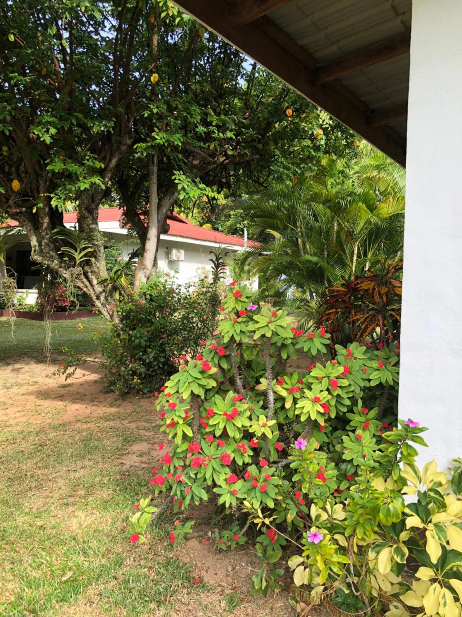 Hcs Bungalows Turtle Bay Rustic Bungalow Au Cap Exterior photo