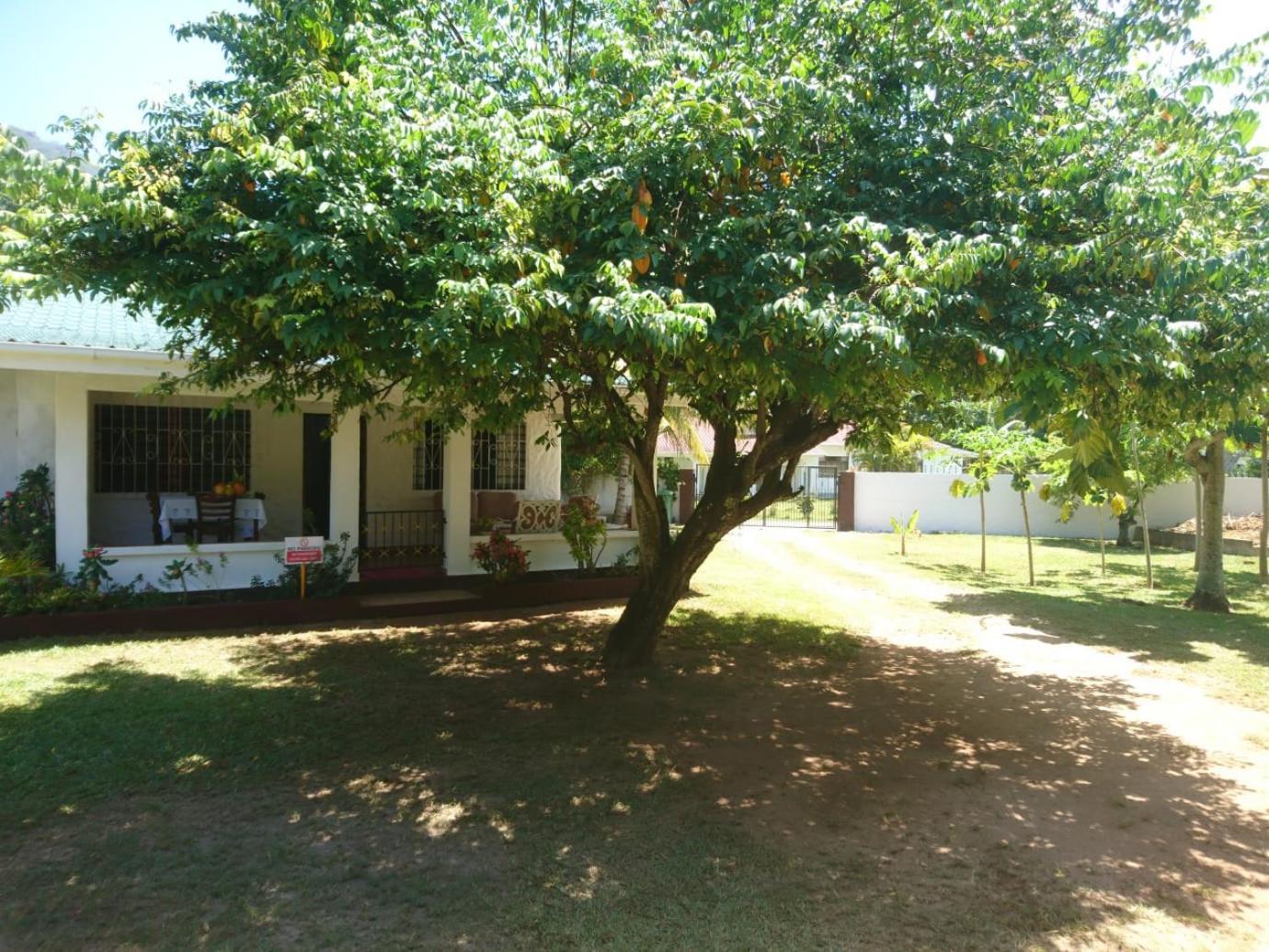 Hcs Bungalows Turtle Bay Rustic Bungalow Au Cap Exterior photo